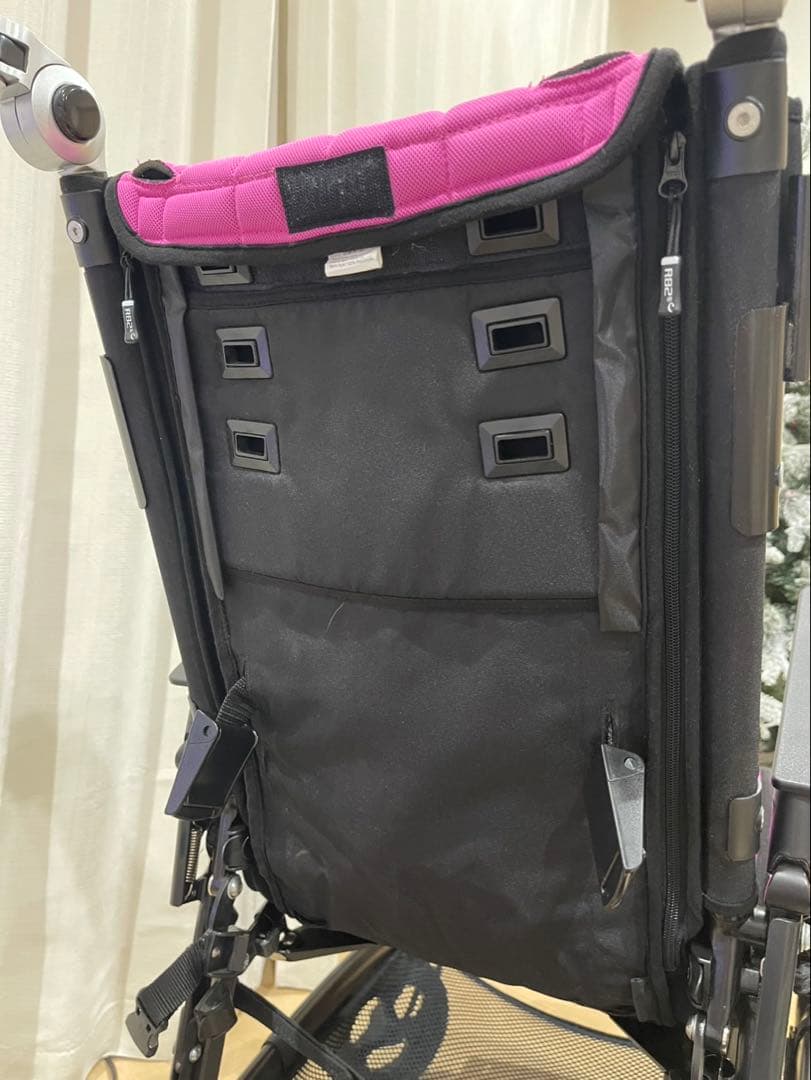 Cricket クリケット　車椅子　小児用バギー