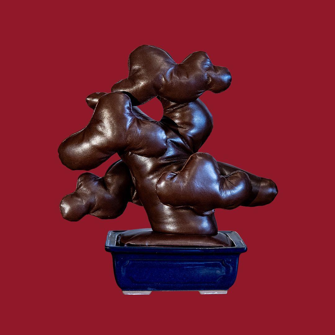 レザー盆栽　ダークブラウン　leather BONSAI