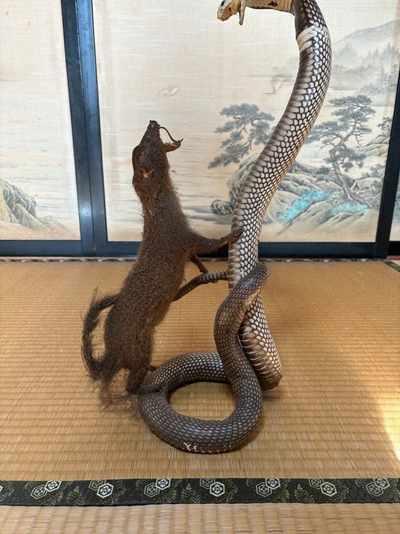 【希少骨董品】コブラとイタチ