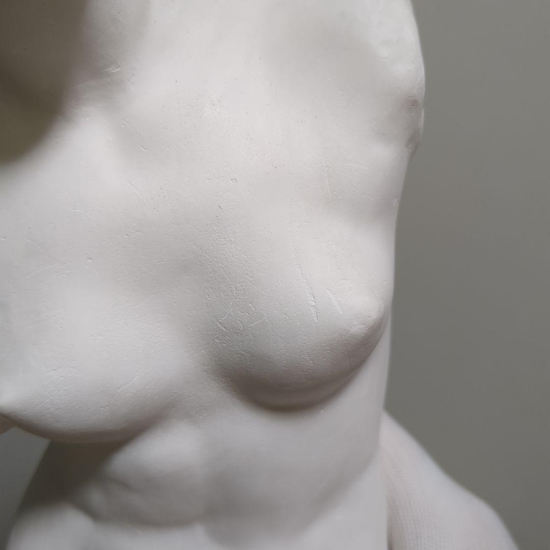 横浜　岡石膏像製作所　ミロのヴィーナス　50cm