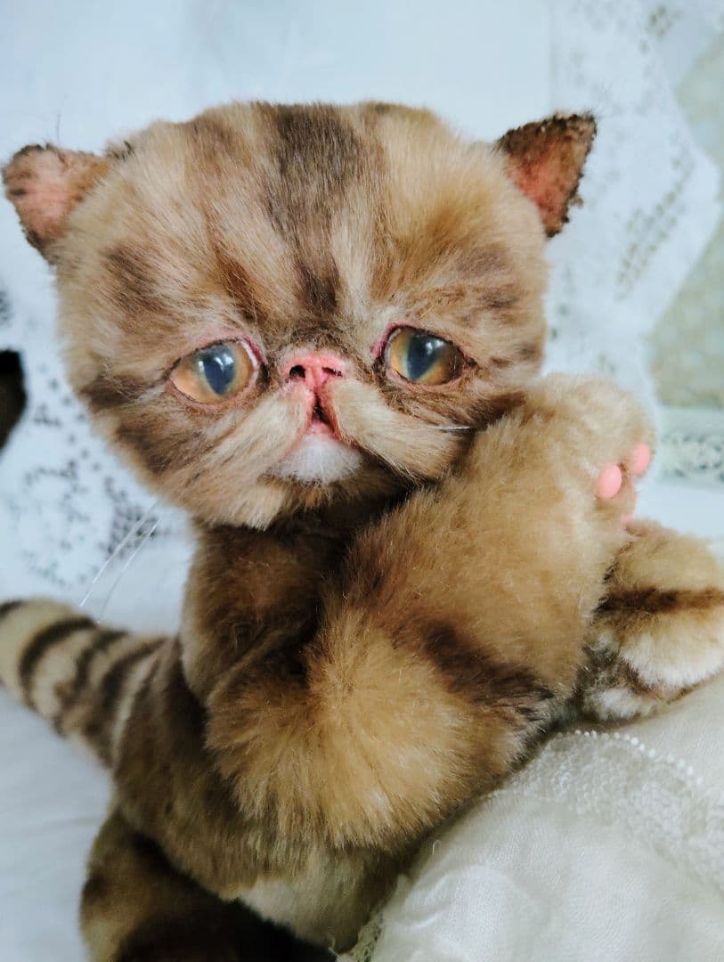 茶トラ♡エキゾチック子猫ちゃん♡高級ファー♡アートドール♡ぬいぐるみ♡