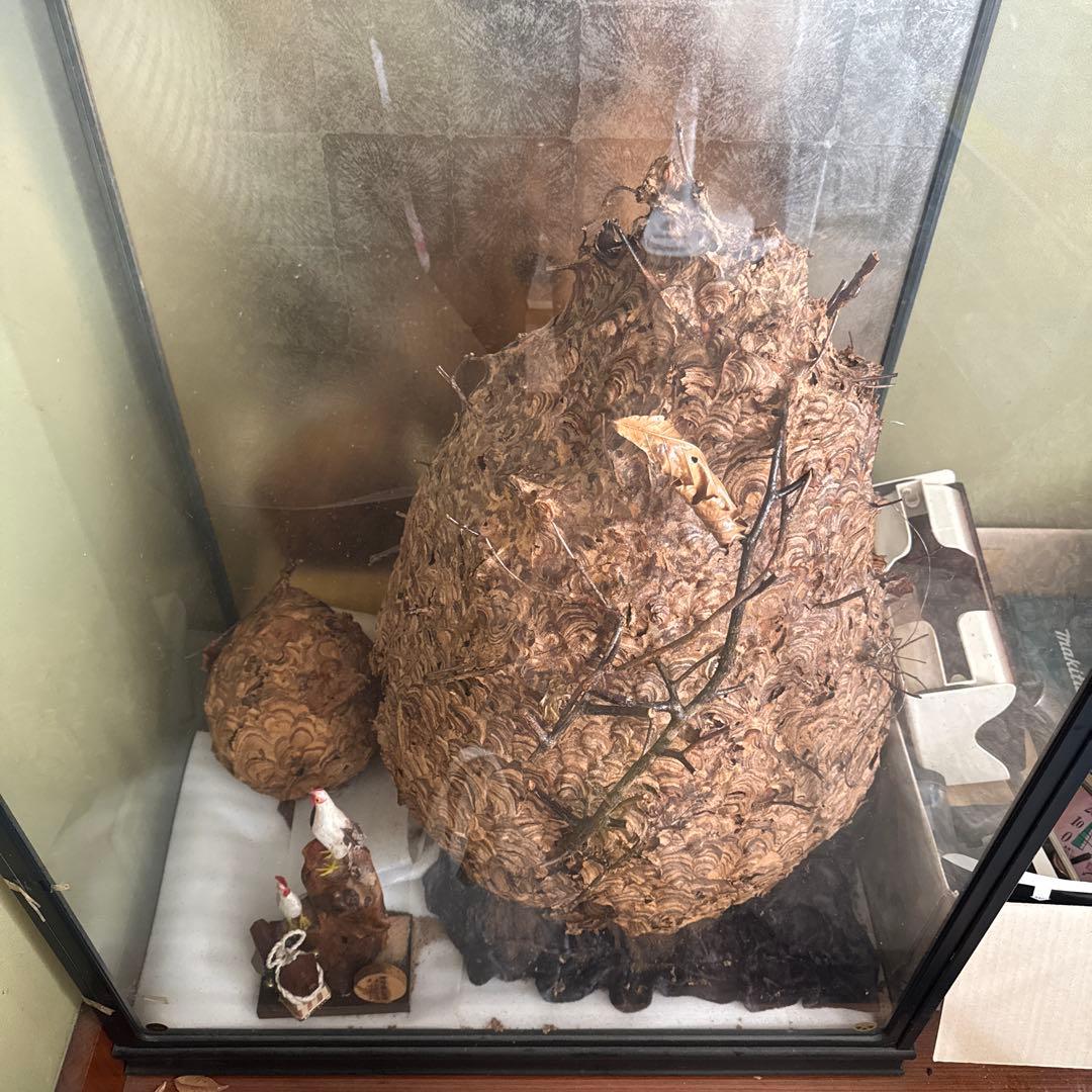 自然素材のユニークな置物