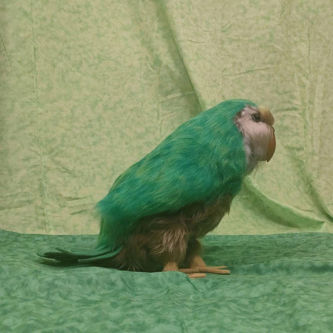 等身大ぬいぐるみ　カカポ(自立可動式・有翼・鳴き声仕掛け)