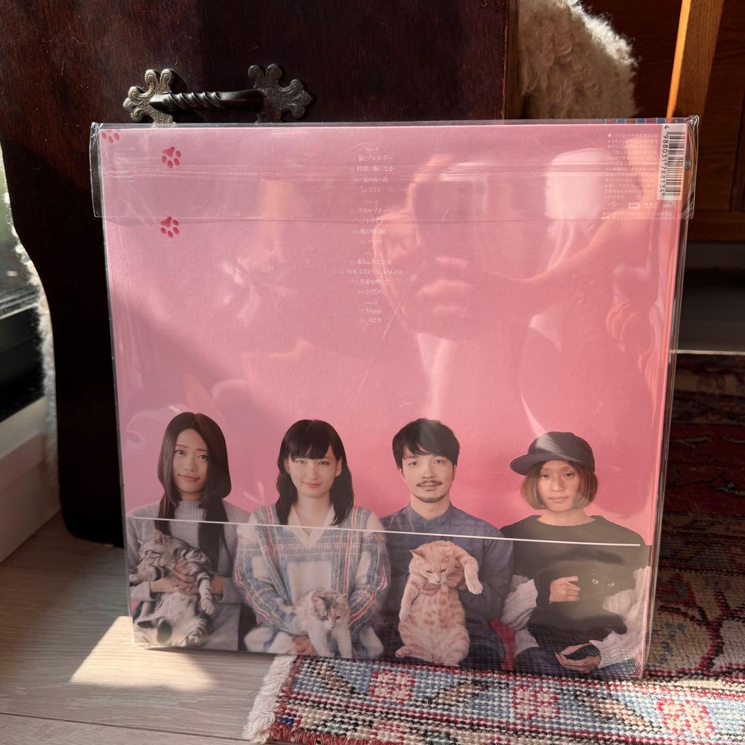 未開封・新品 きのこ帝国 猫とアレルギー クリアピンク・ヴァイナル 限定 LP