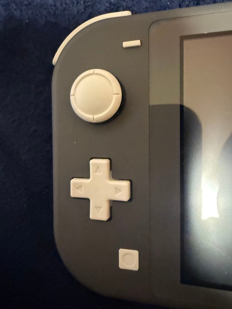 り*む様 Nintendo Switch Lite グレー 本体