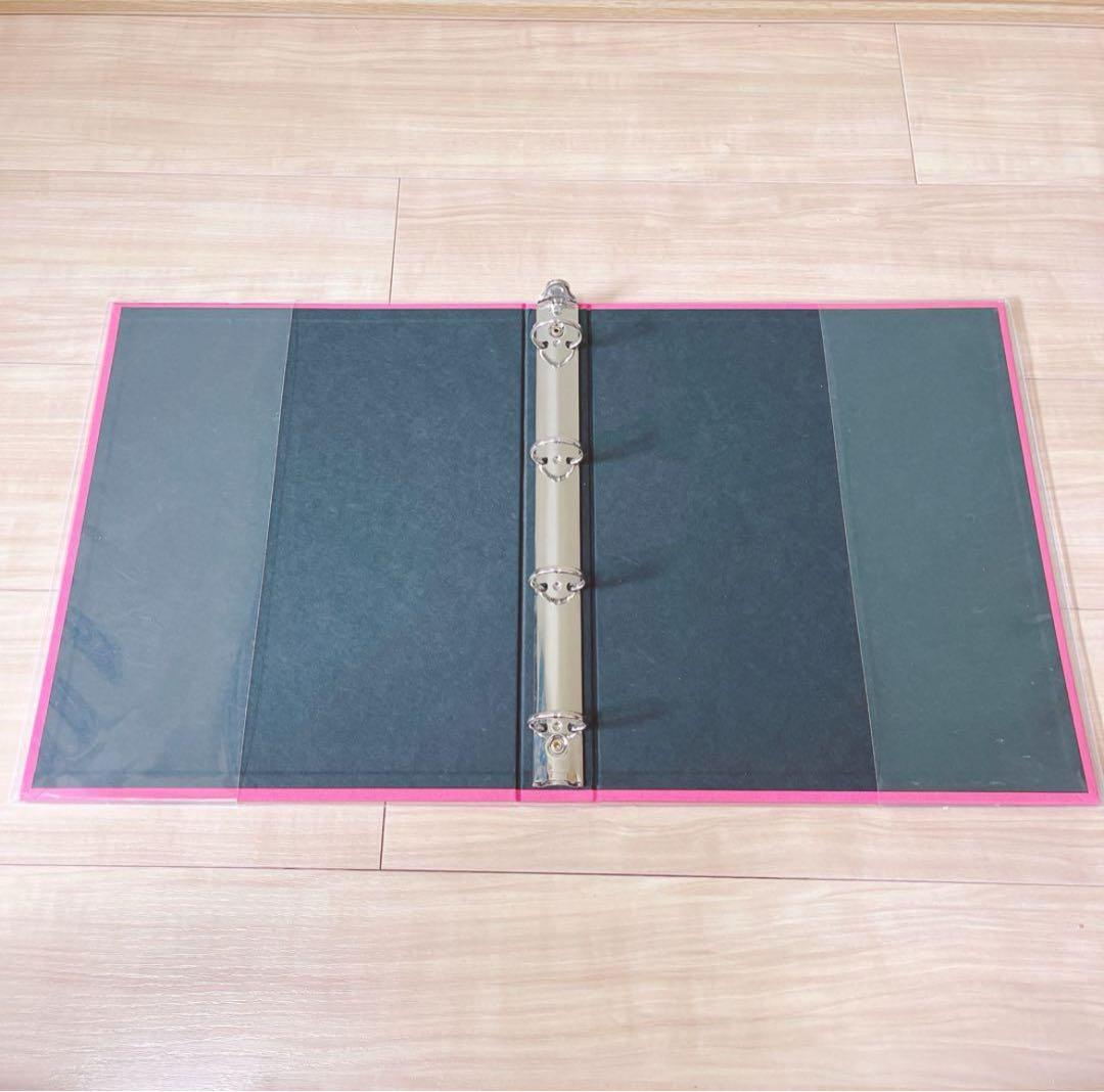 DELFONICS デルフォニクス フォトアルバム a4 ※2冊の値段