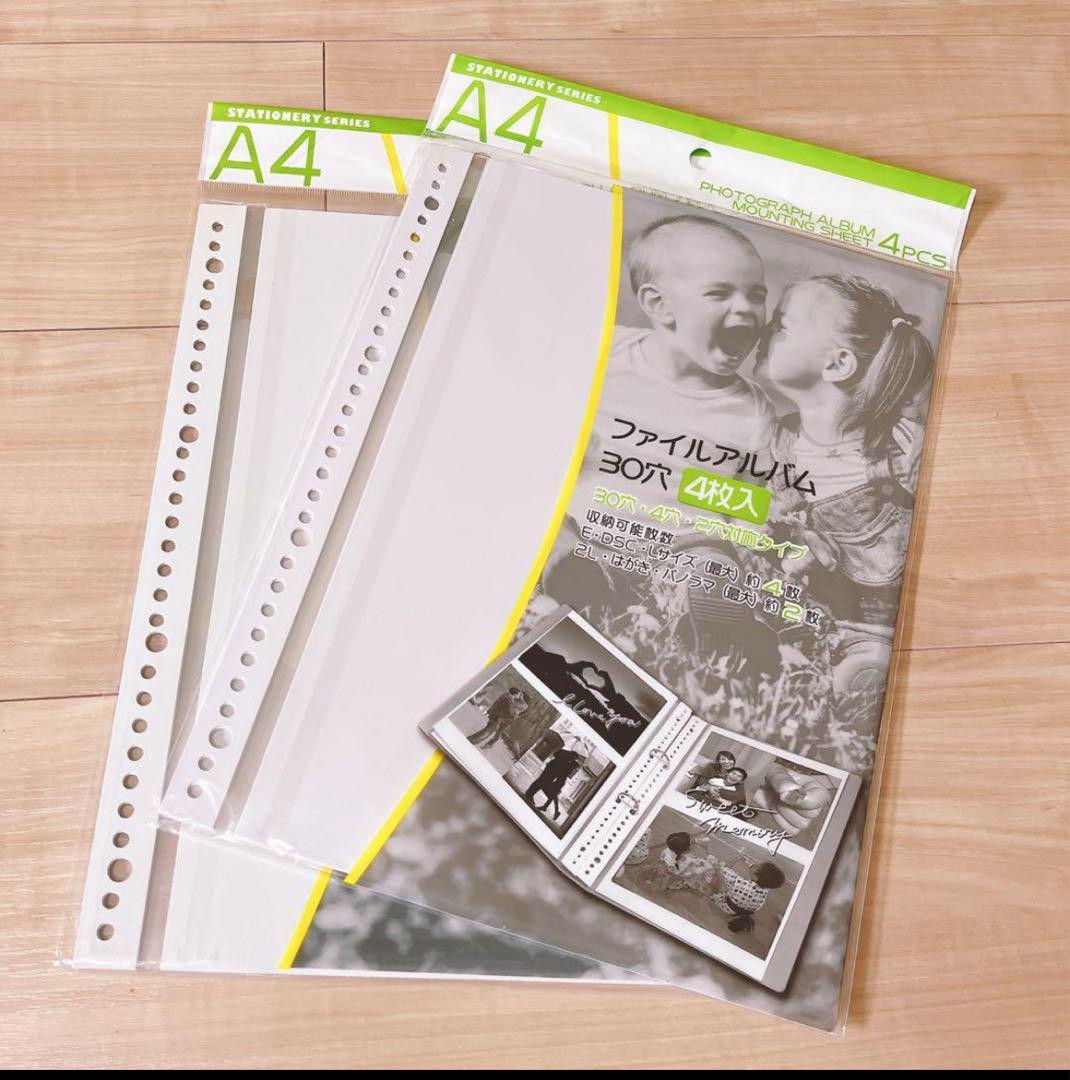 DELFONICS デルフォニクス フォトアルバム a4 ※2冊の値段