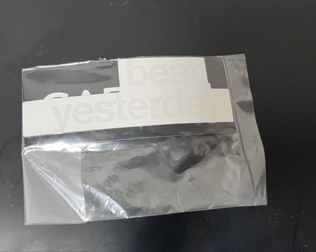 Garmin Forerunner 955 DUAL POWER チタンバンド