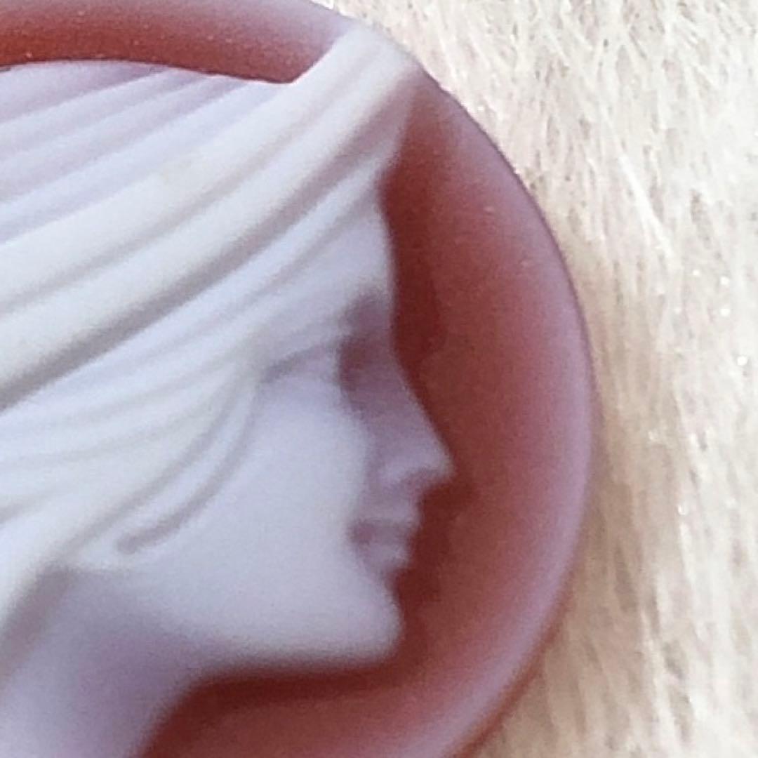 エルヴィン・パウリーのカメオルース