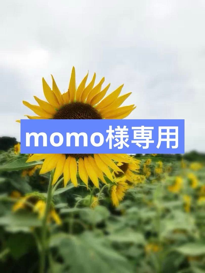 ORTstage3-9新品184冊Oxford reading tree英語絵本