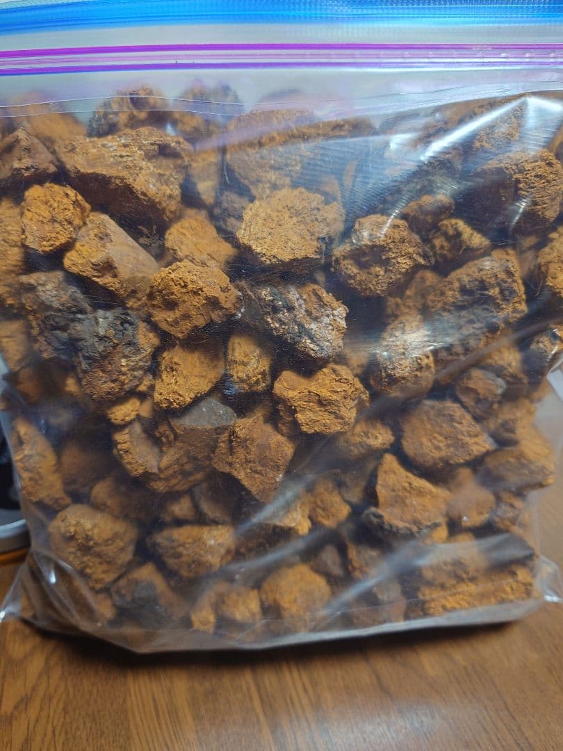 北海道産カバノアナタケ「チャーガ」5キロ‼️