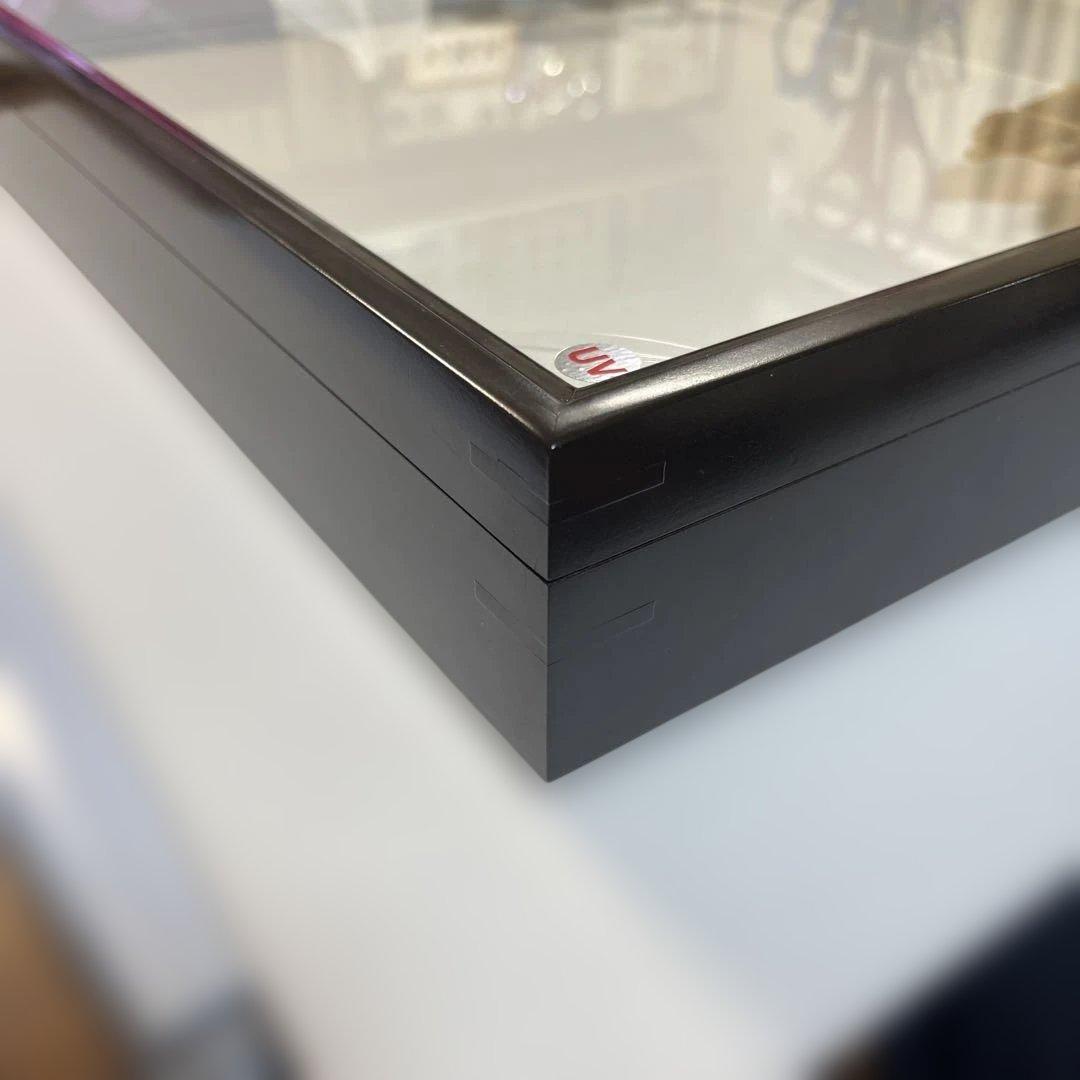 蝶標本箱　UV防止膜ドイツ箱