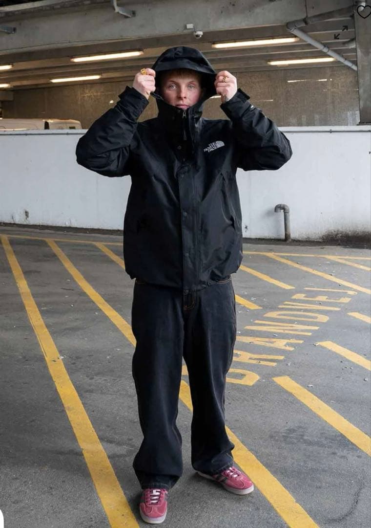 ノースフェイス mountain jacket USモデル L(日本XL)