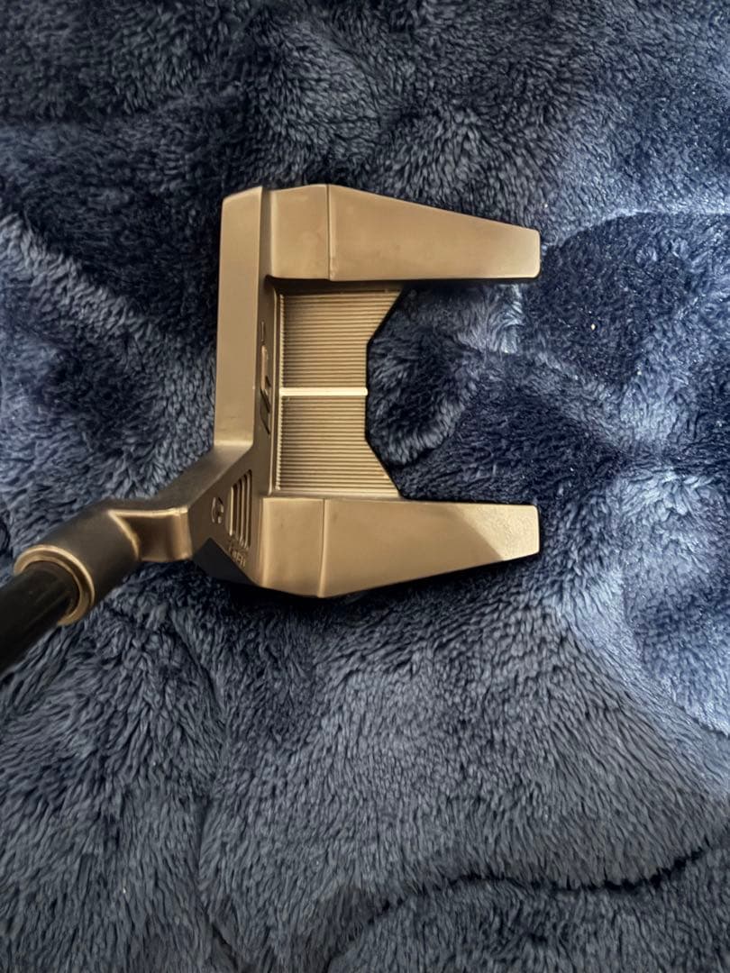 TaylorMade TPコレクション Brandon TM1 パターリシャフト