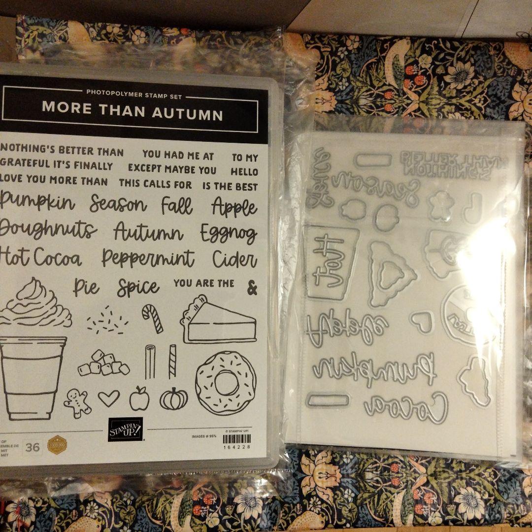１点限り♡新作　秋スタンプ&ダイ　スタンピンアップ