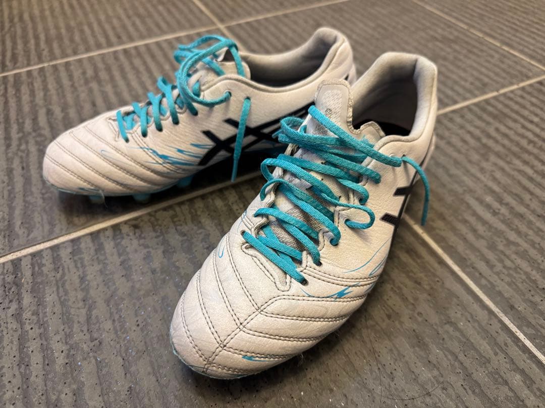 シューズ ASICS DS LIGHT x-fly pro limited 24.5cm