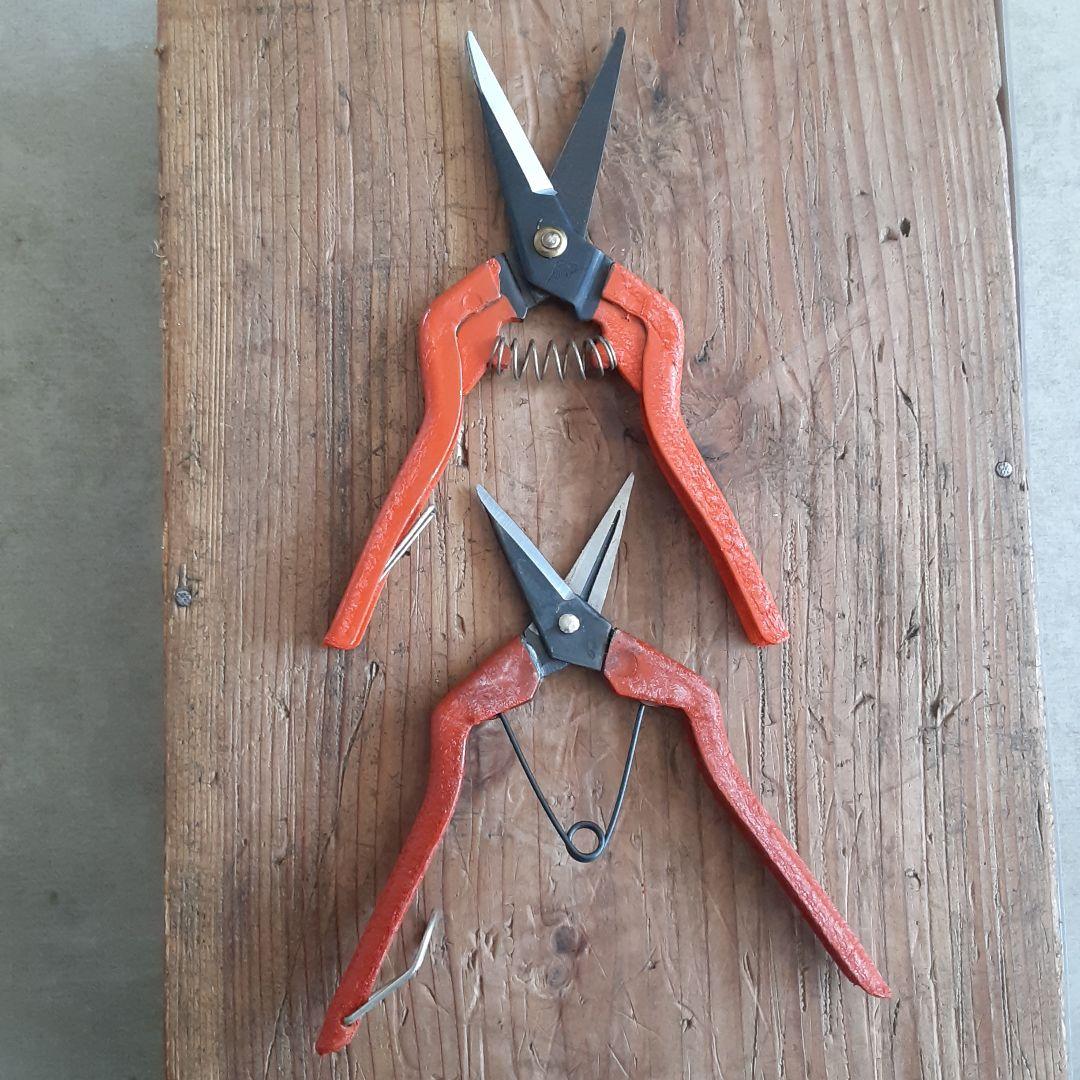 本格型芽切り鋏　大、小　５０セット