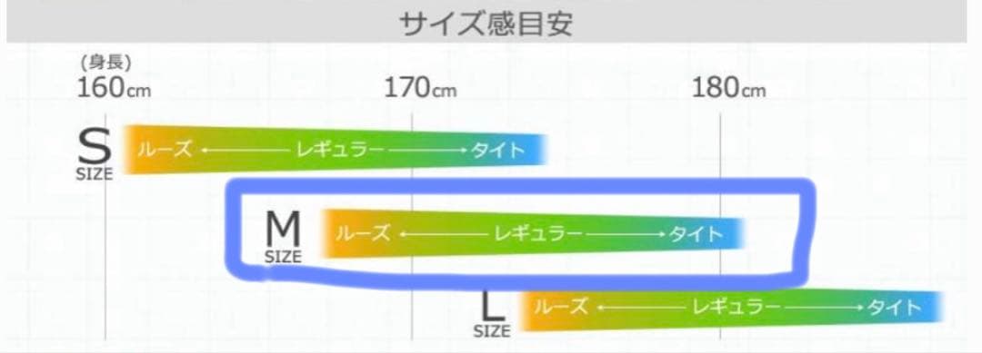 VOLCOM ボルコム　GORE-TEX　ゴアテックス　パンツ　スノボ　朱