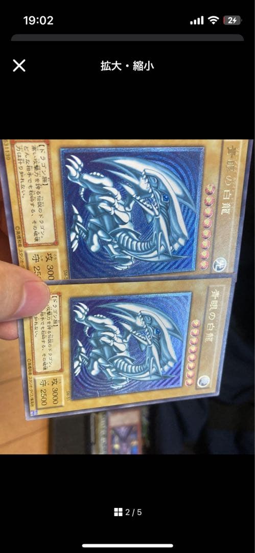 青眼の白龍 レリーフ　シーゴラス