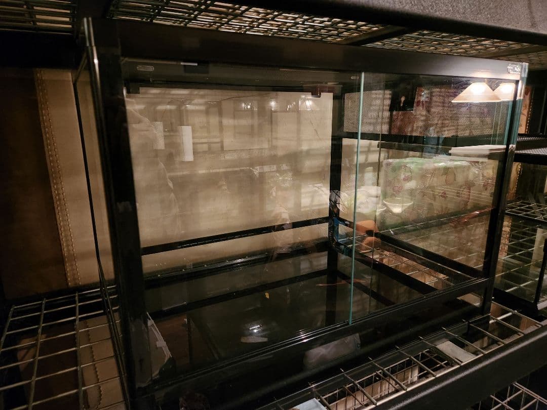 売約済　複数値引き　こぬ様　パンテオン6045中古1台送料込