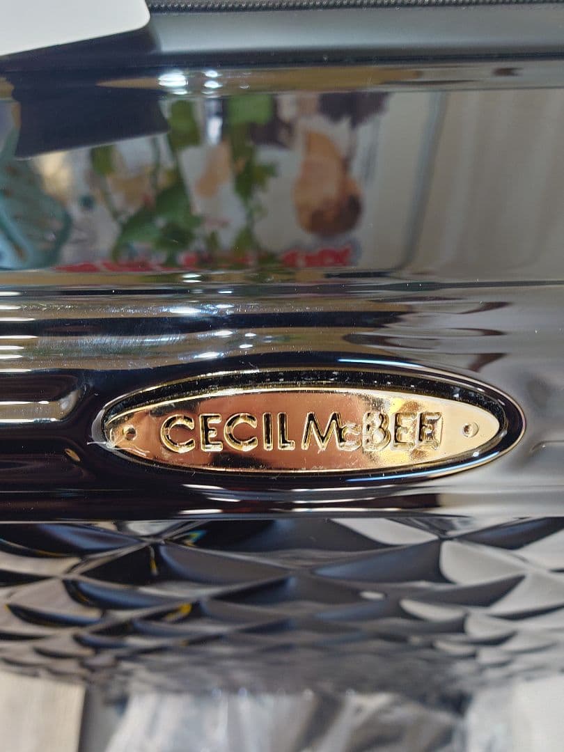 タグ付き未使用　セシルマクビー　キャリングケース　Lサイズ