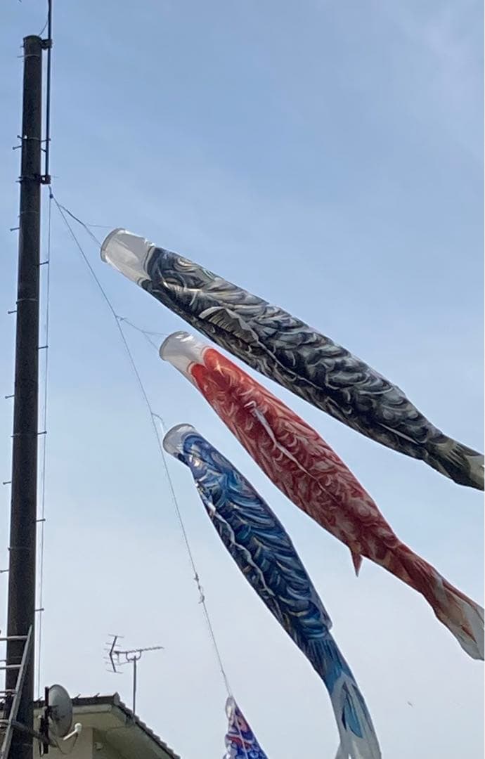 鯉のぼり　大家族7点　山本寛斎監修作　はねぼう　12mポールセット（一部品無し）