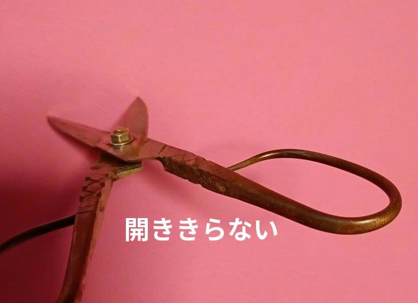 かぁむ。様　ご依頼分　鋏　博多　豊勝