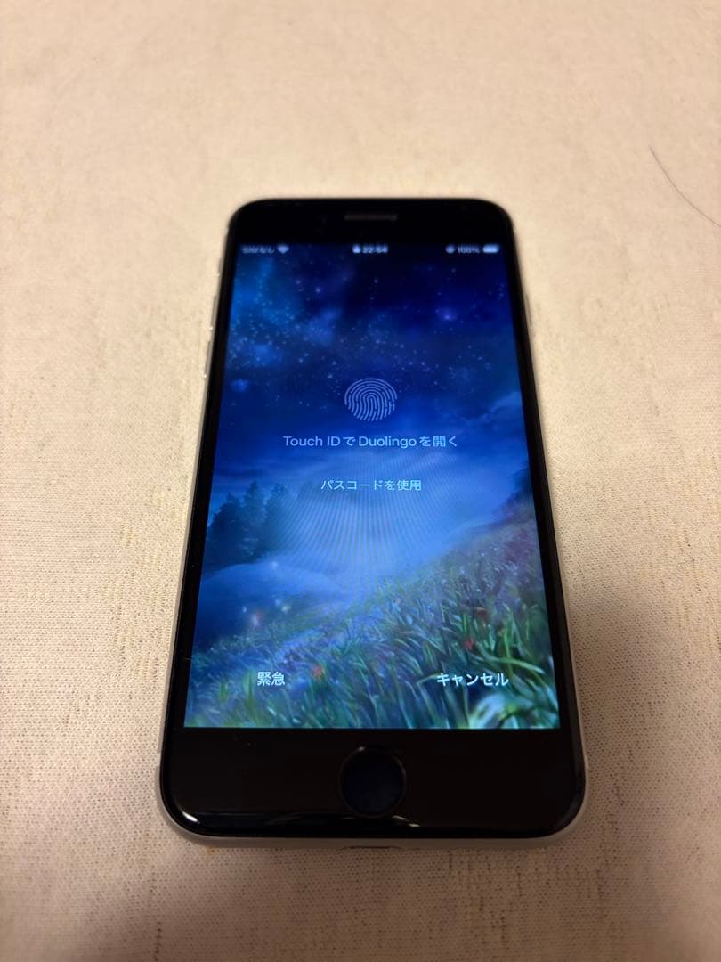 faniさん専用　iPhone SE2 128GB美品 箱あり付属品は全て未使用