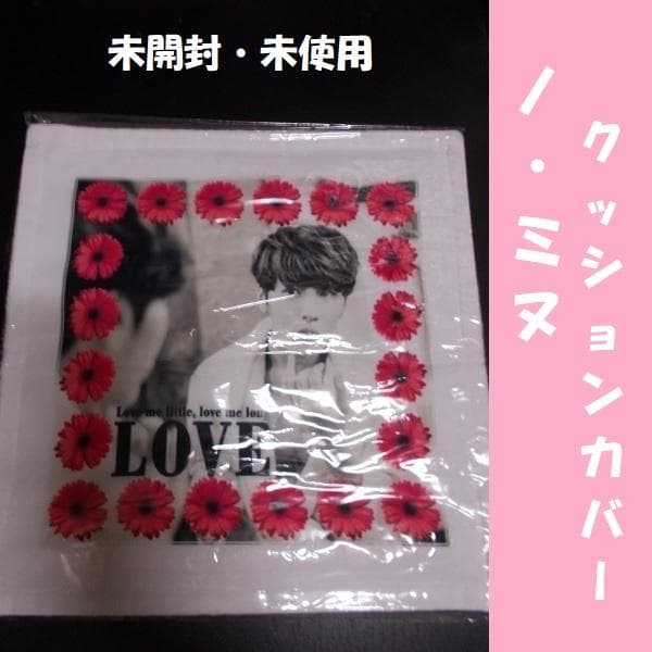 ノ・ミヌＤＶＤ＆クッションカバー