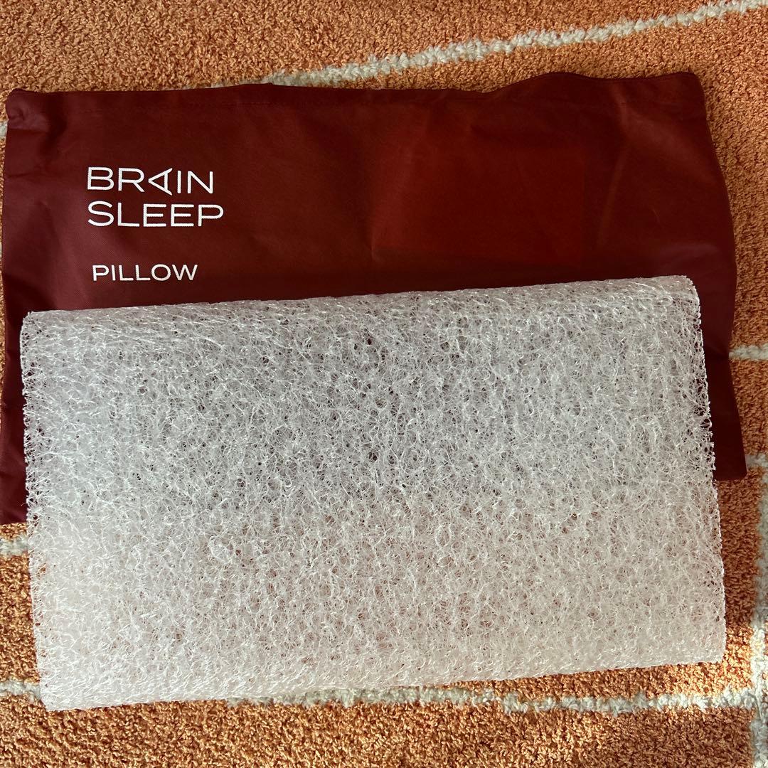 BRIAN SLEEP 枕 透明 収納バッグ付き