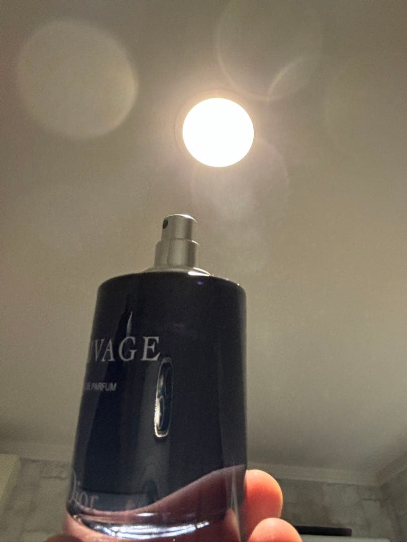 ごえLouis Vuitton IMAGINATION DIOR