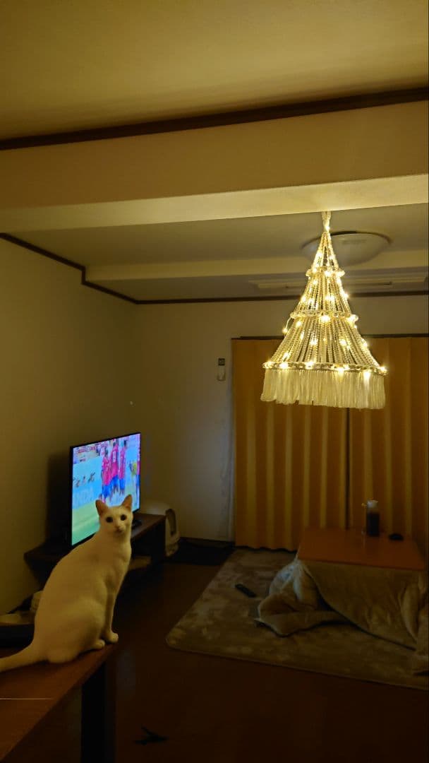 ネコ対策の　つり下げ　マクラメ　クリスマスツリー