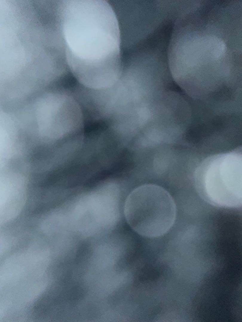 依頼品 おにぎり