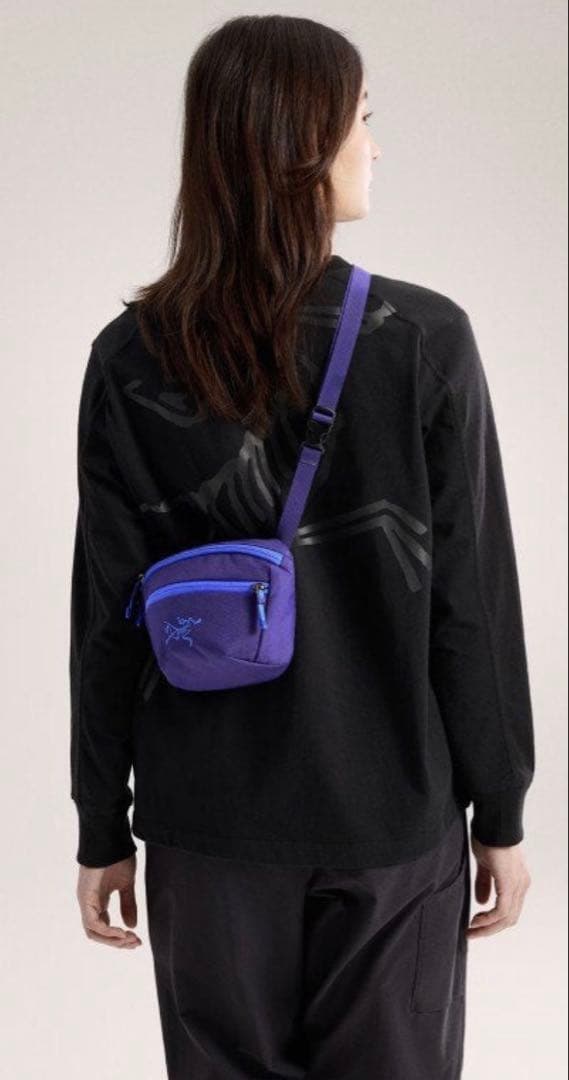 【2025年廃盤カラー】新品 アークテリクス マンティス2 正規品