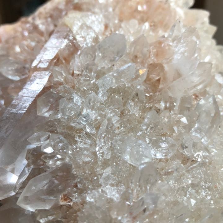 ピンクマニカランクラスター4.3キロ