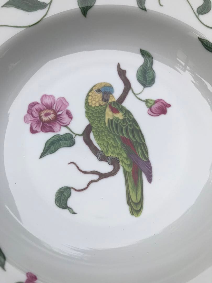 未使用リンチェイス　パロッツオブパラダイス　プレートセット　鳥　オウム　スープ皿