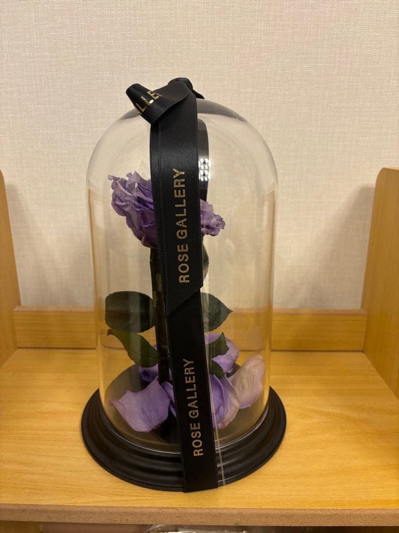 ローズギャラリー　バラ　紫