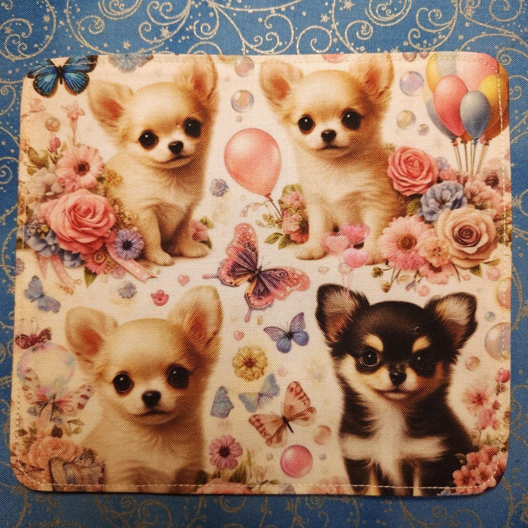 ご確認用　あしべ☆　ハンカチ　ねこちゃん　チワワ柄　21枚