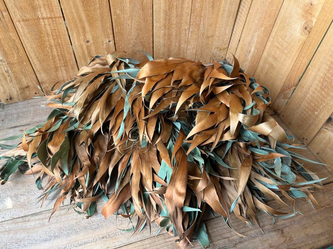 ✨人気花材❗️【204】50本 グレビリアゴールド　ドライ　スワッグ リース