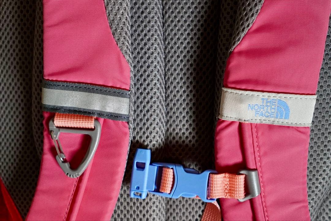 【美品】THE NORTH FACE SMALL DAY 子供リュックサック