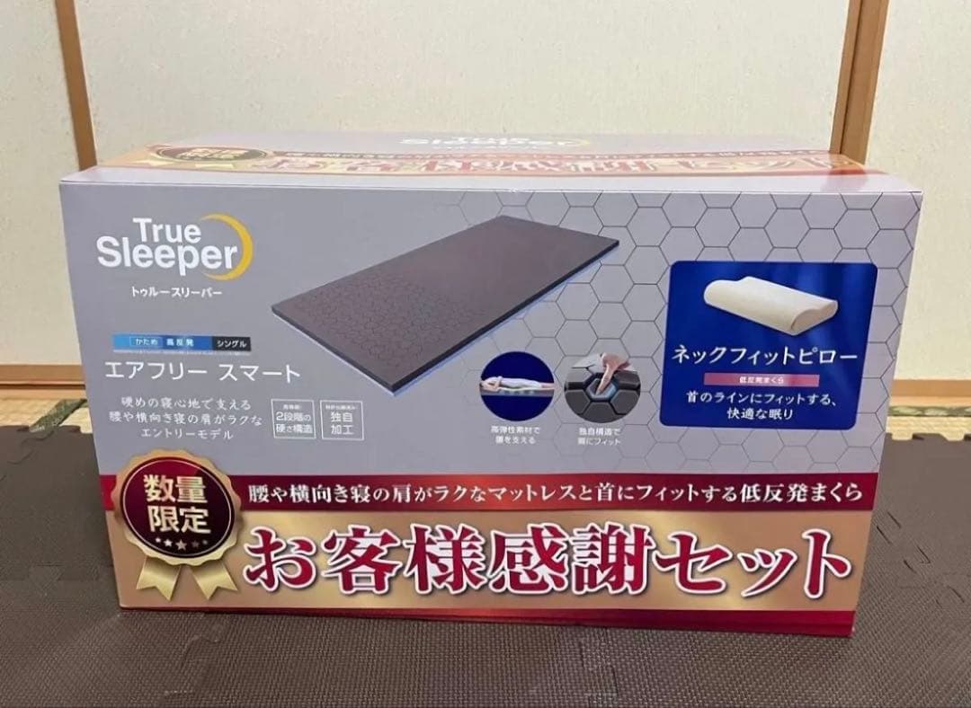 トゥルースリーパー セット エアフリースマート ネックフィットピロー