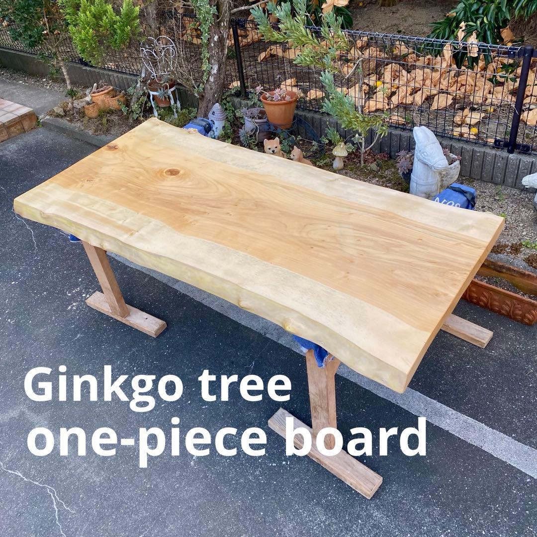 天然木　イチョウ　銀杏　一枚板 無垢　109