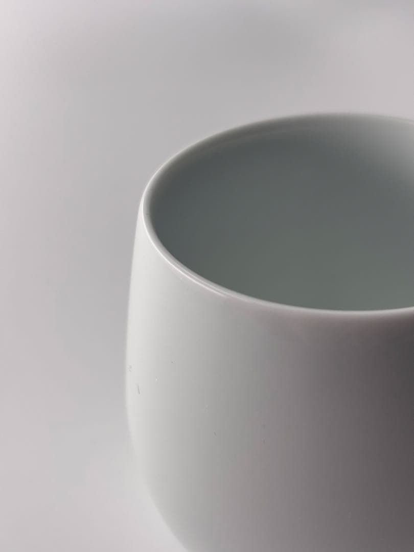 【在庫処分】オーストラリア Magnolia Mountain 有田焼