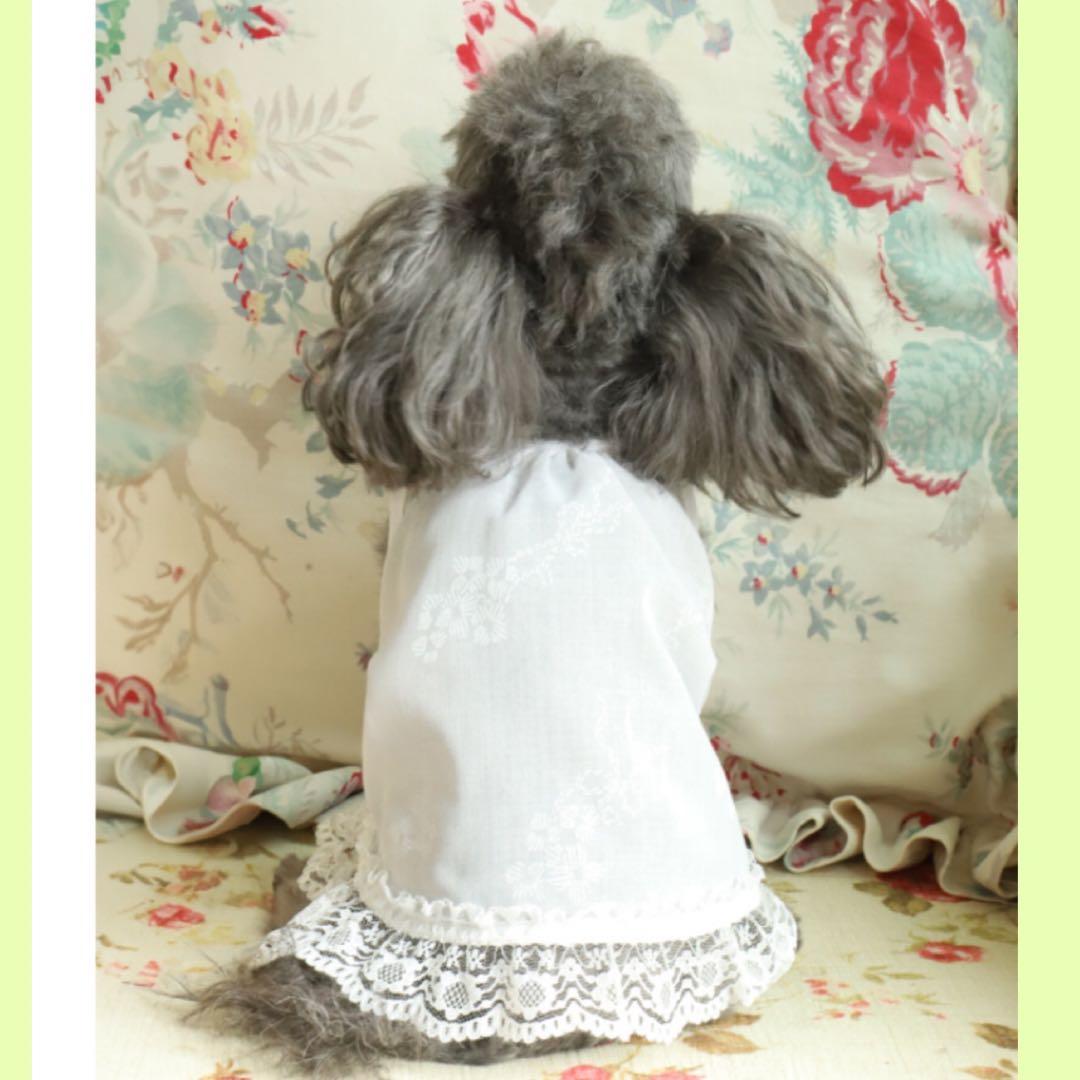 アトリエGG シンシアキャミソール