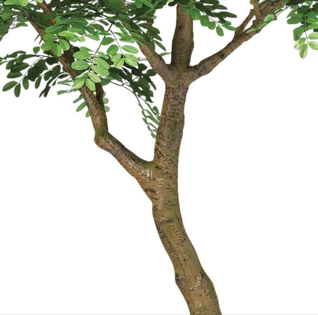 光触媒　人工観葉植物　ウォールグリーン　フェイクグリーン　アカシアコアッド