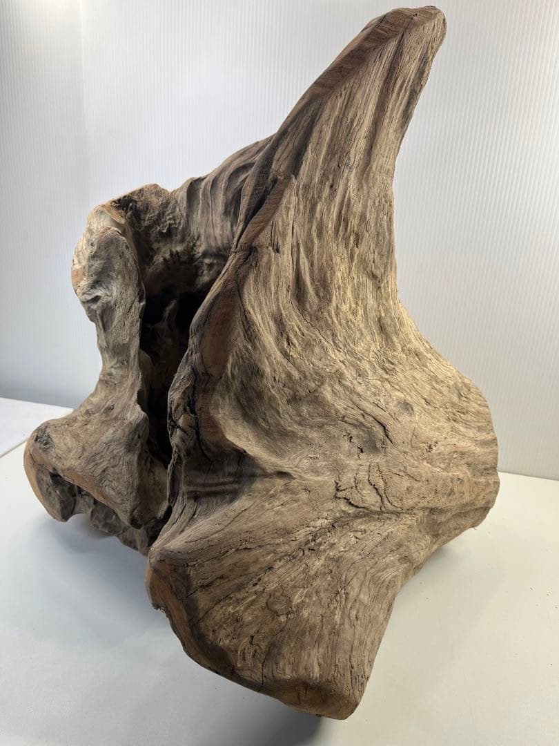 k64大型流木 アク抜き済み 爬虫類シェルター レイアウト用 登り木 インテリア