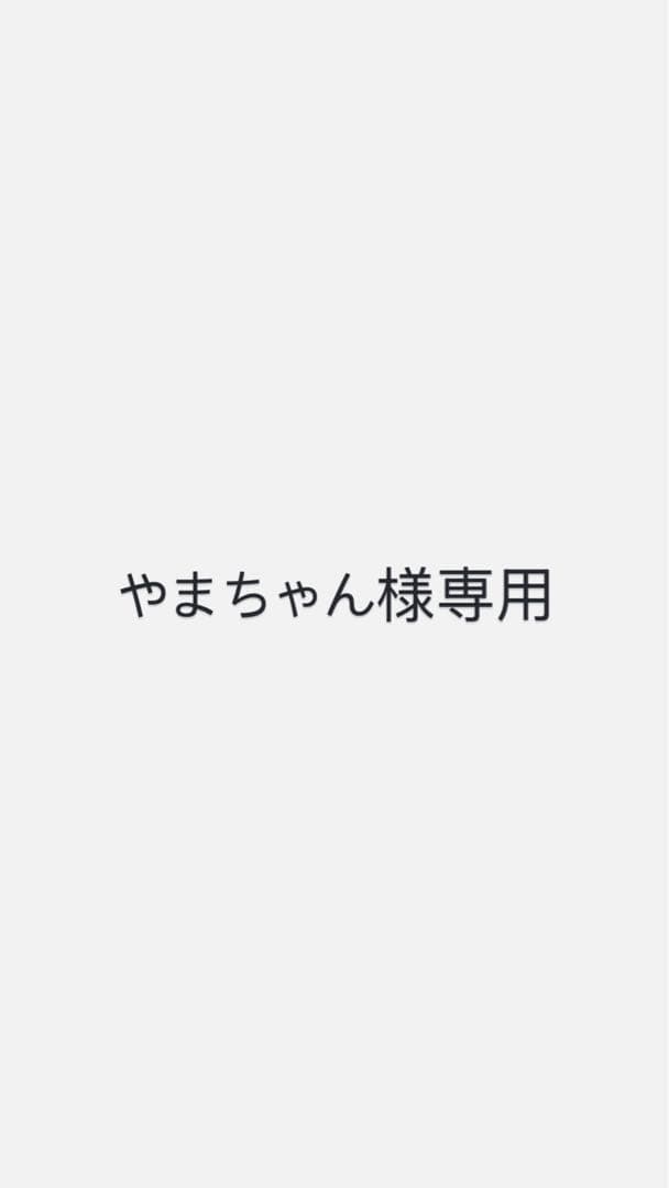 【やまちゃん】タイカ サト プレートセット