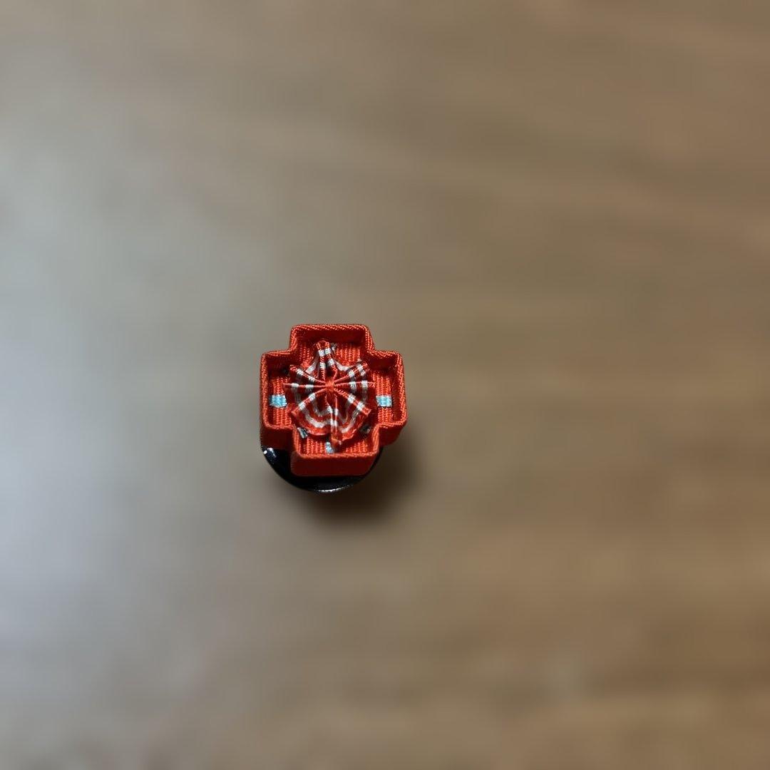 日本赤十字社　有功章　勲章　メダル　日本