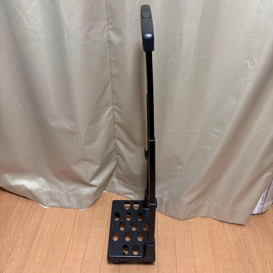 【美品】スワニー SWANY Walkin' Bag キャリー ソフトバック