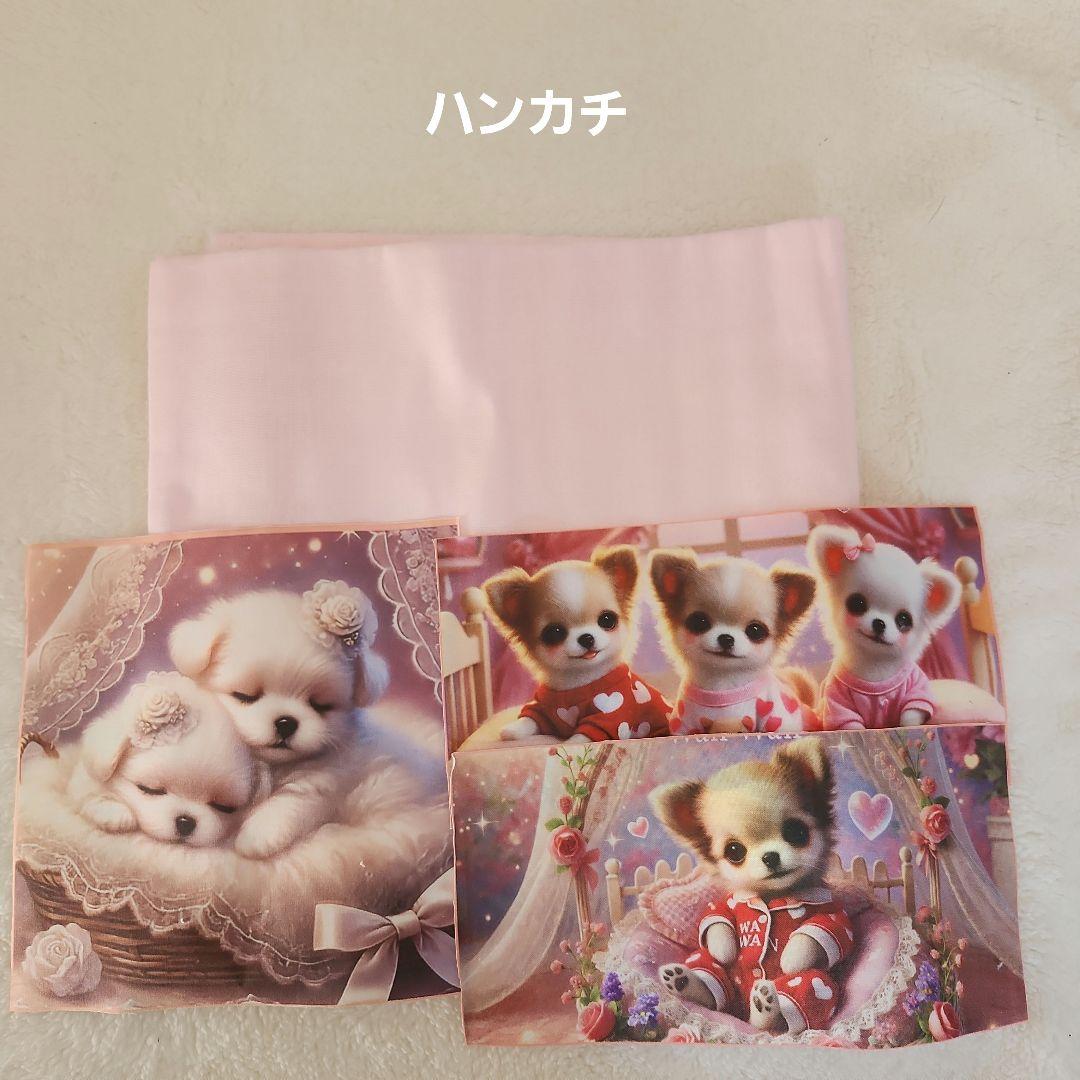 ちっちざる